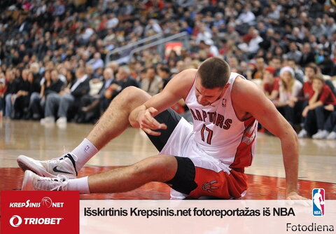 Išskirtinė galerija: „Raptors“ – „Magic“ 