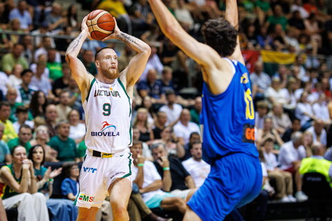 Brazdeikis