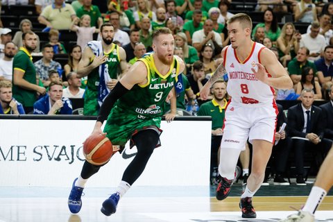 Brazdeikis