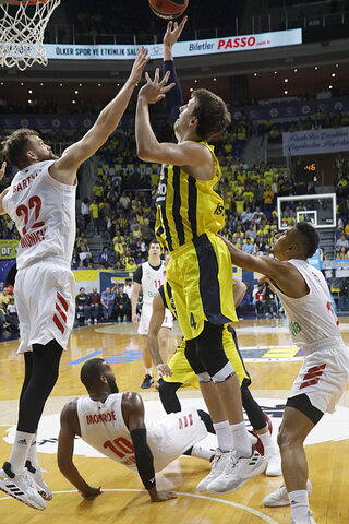 Vesely