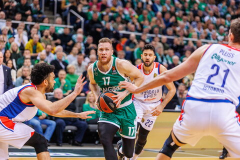 Brazdeikis