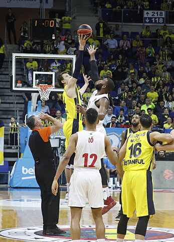 Vesely