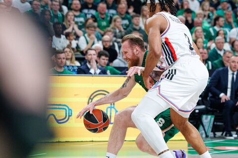 Brazdeikis