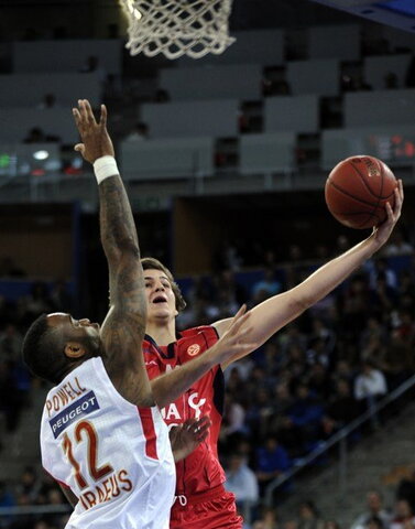 Bjelica