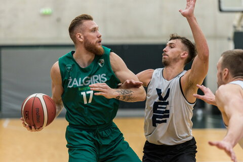 Brazdeikis