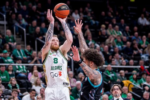 Brazdeikis