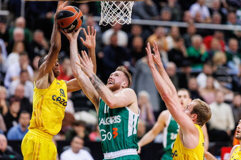 Brazdeikis