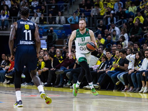 Brazdeikis