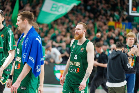 Brazdeikis
