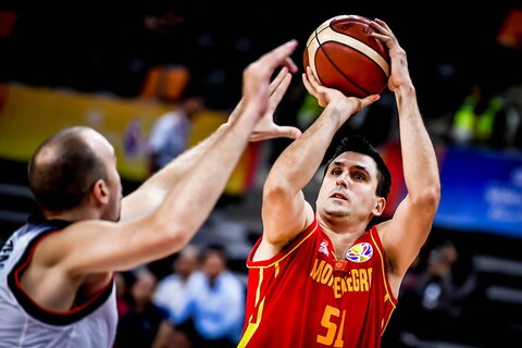 Bjelica
