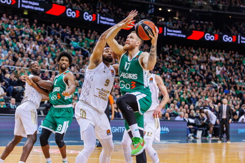 Brazdeikis