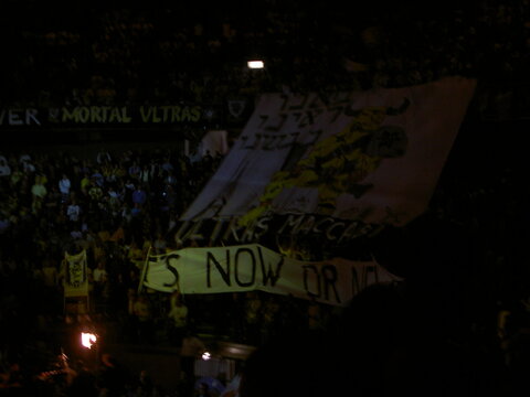 Ultras "Maccabi" 1996