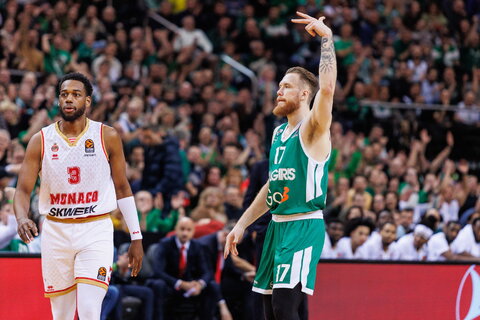 Brazdeikis