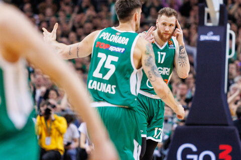 Brazdeikis