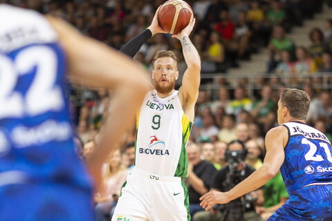 Brazdeikis