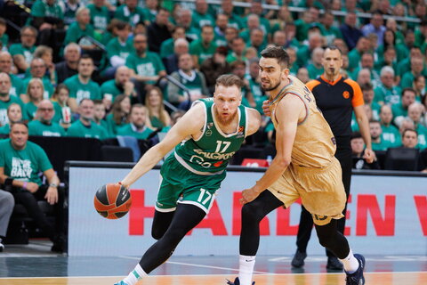 Brazdeikis