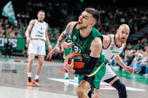 Sirvydis