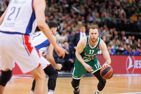 Brazdeikis
