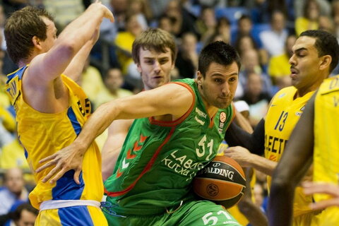 Bjelica