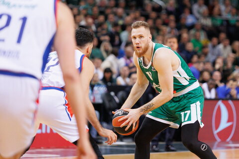 Brazdeikis