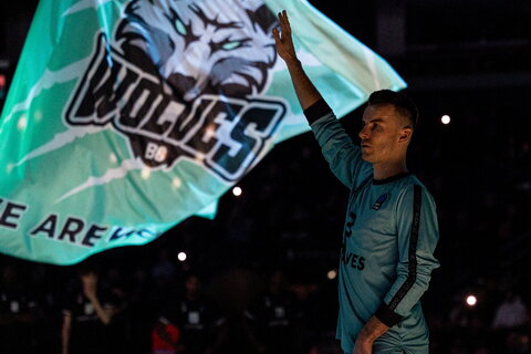 „Wolves“ – „Paris“