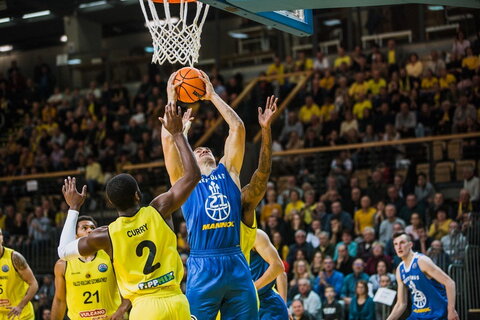 Galdikas