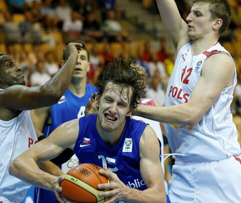 Vesely