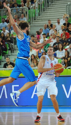 Bjelica