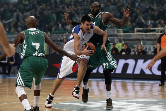 Bjelica