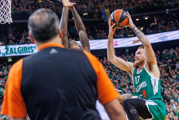 Brazdeikis