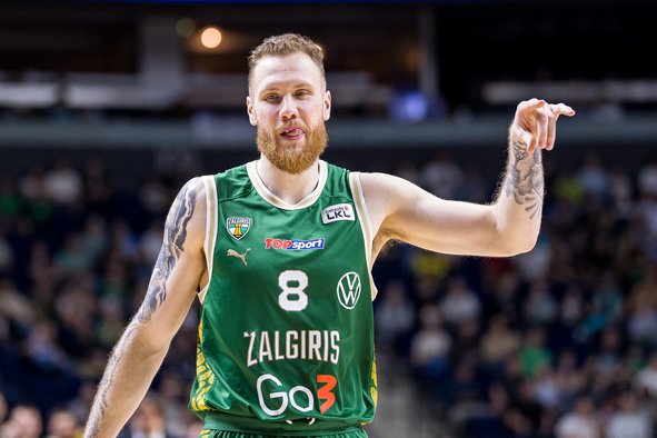 Brazdeikis