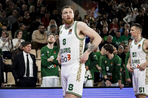 Brazdeikis