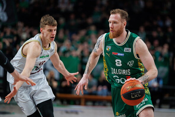 Brazdeikis