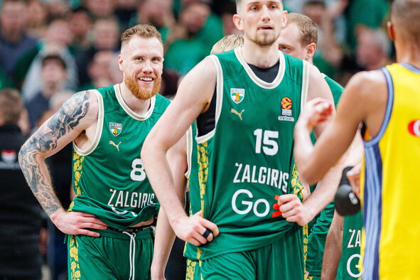 Brazdeikis