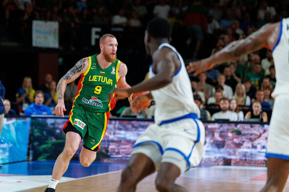 Brazdeikis