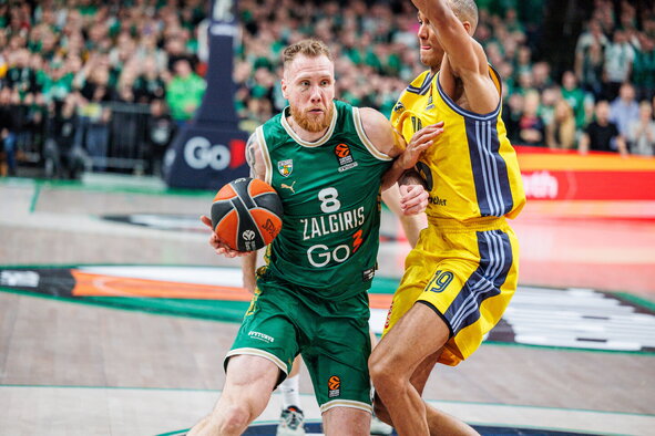 Brazdeikis