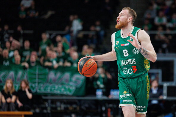 Brazdeikis