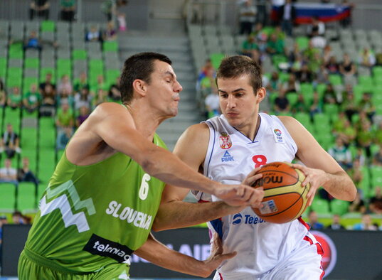 Bjelica