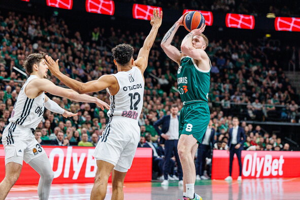 Brazdeikis