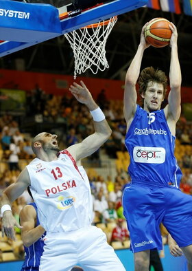 Vesely