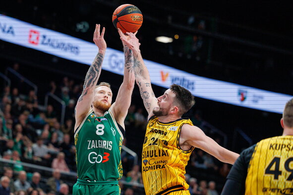 Brazdeikis
