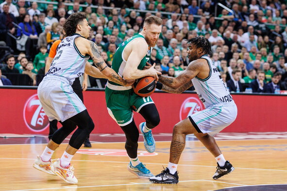 Brazdeikis