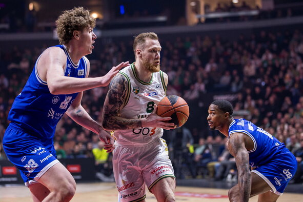 Brazdeikis