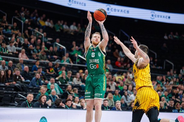 Brazdeikis