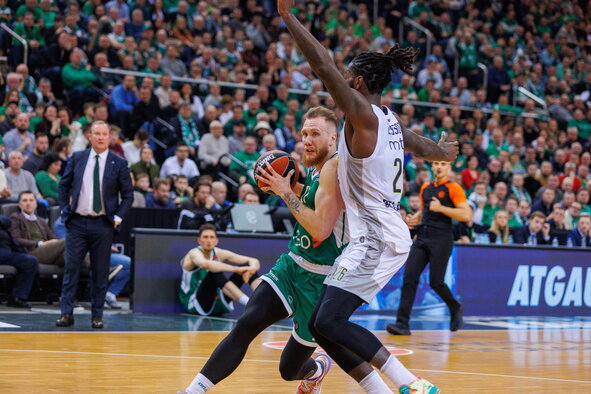 Brazdeikis