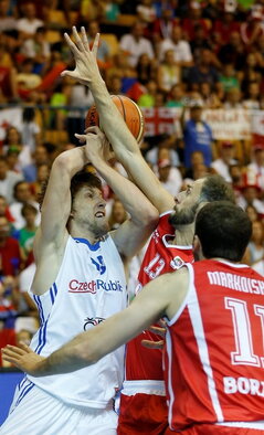 Vesely
