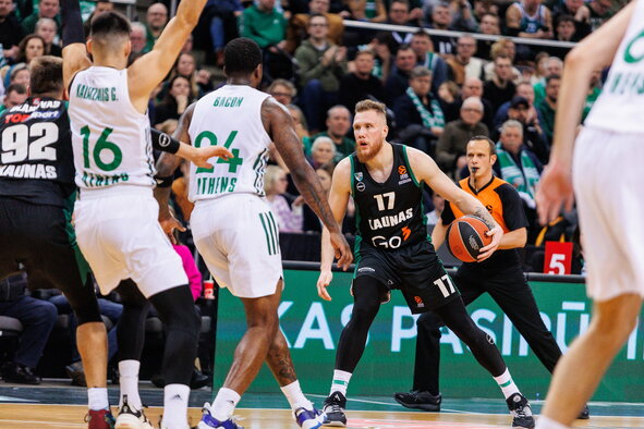 Brazdeikis