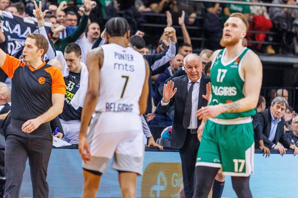 Brazdeikis