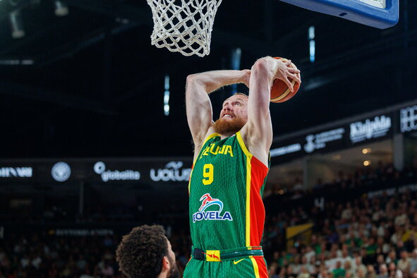 Brazdeikis
