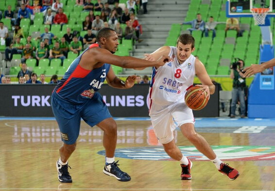 Bjelica